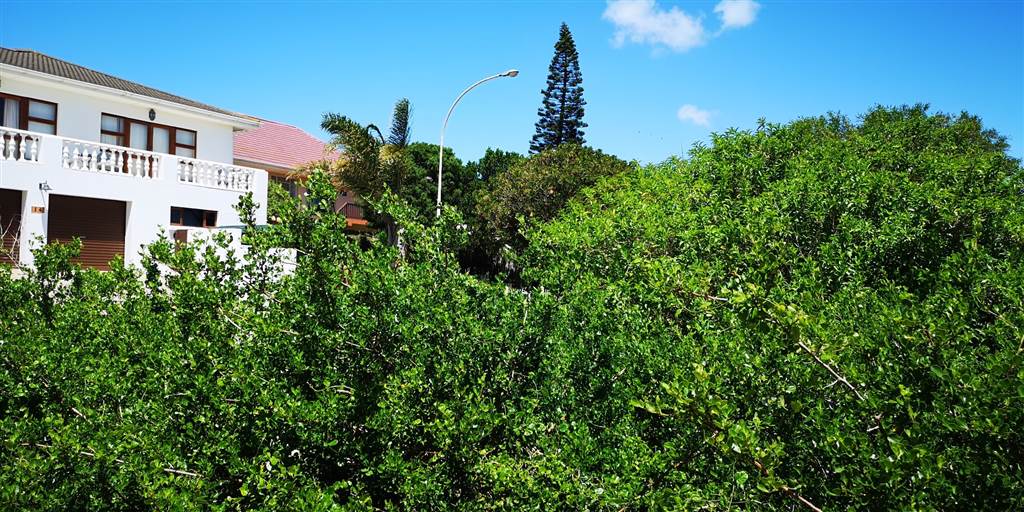 560 m² Land available in Aston Bay photo number 8