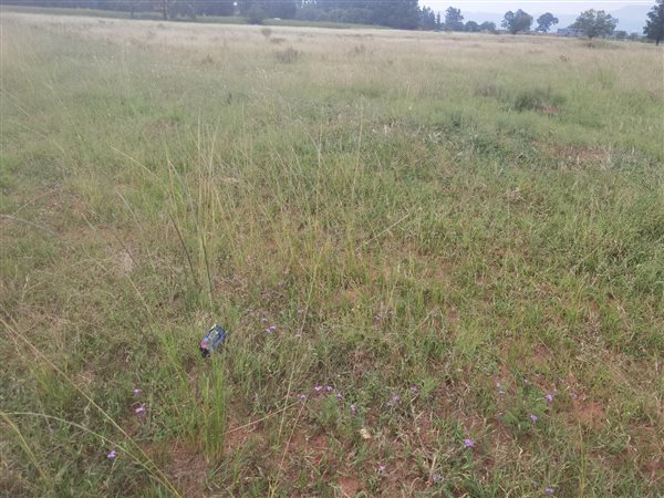16 180 ha Land 16 180 ha Land