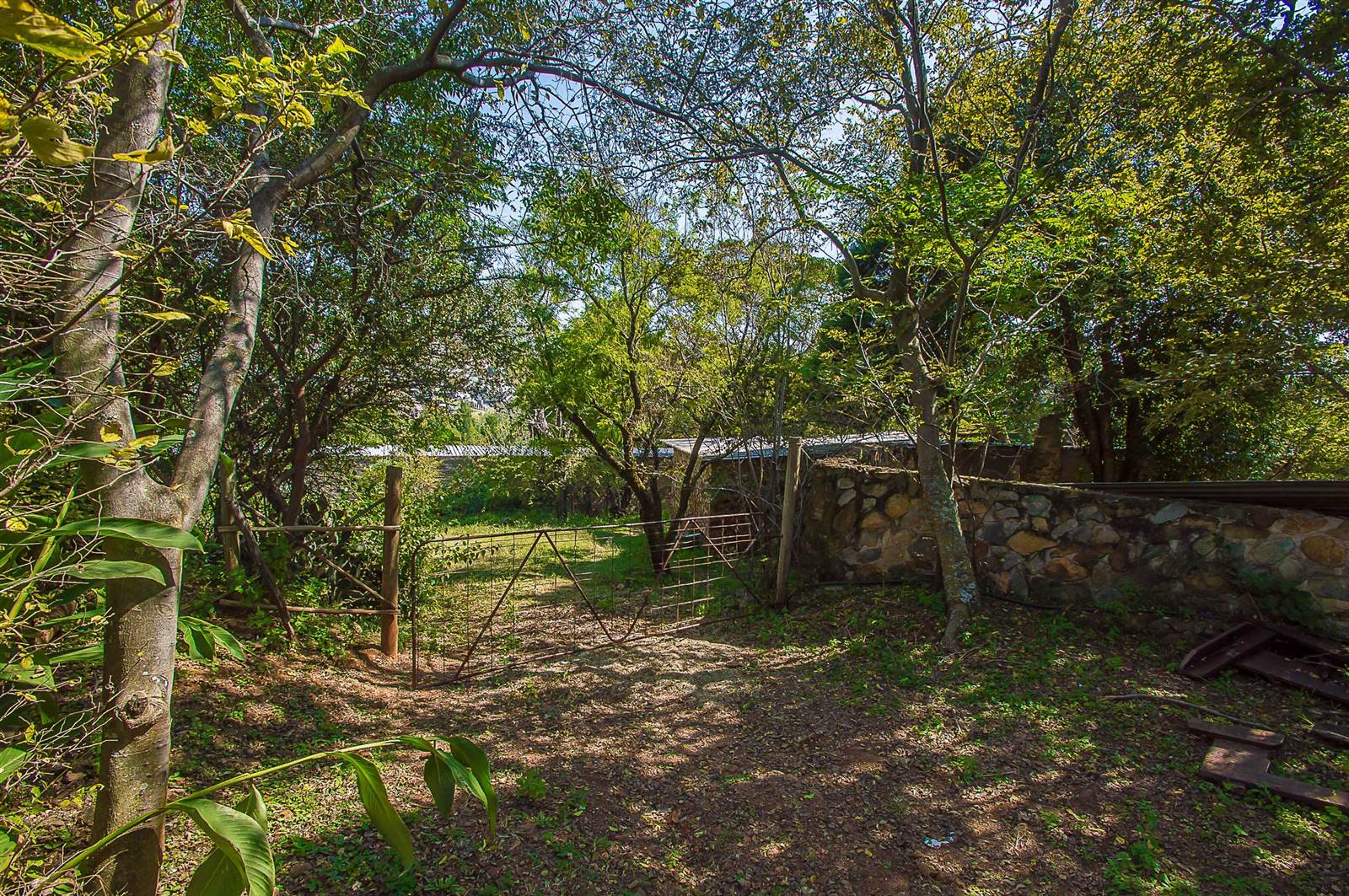 1.6 ha Smallholding in Ruimsig Country Estate photo number 25