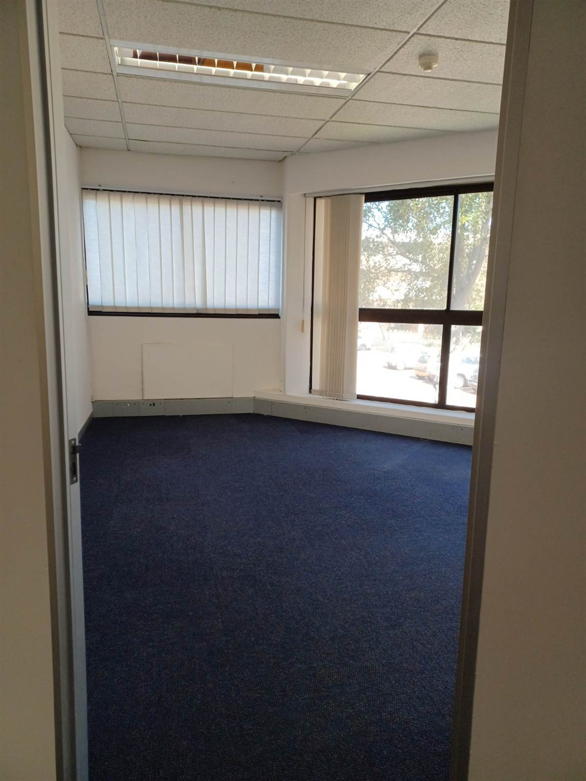 Office space in Pinelands photo number 11