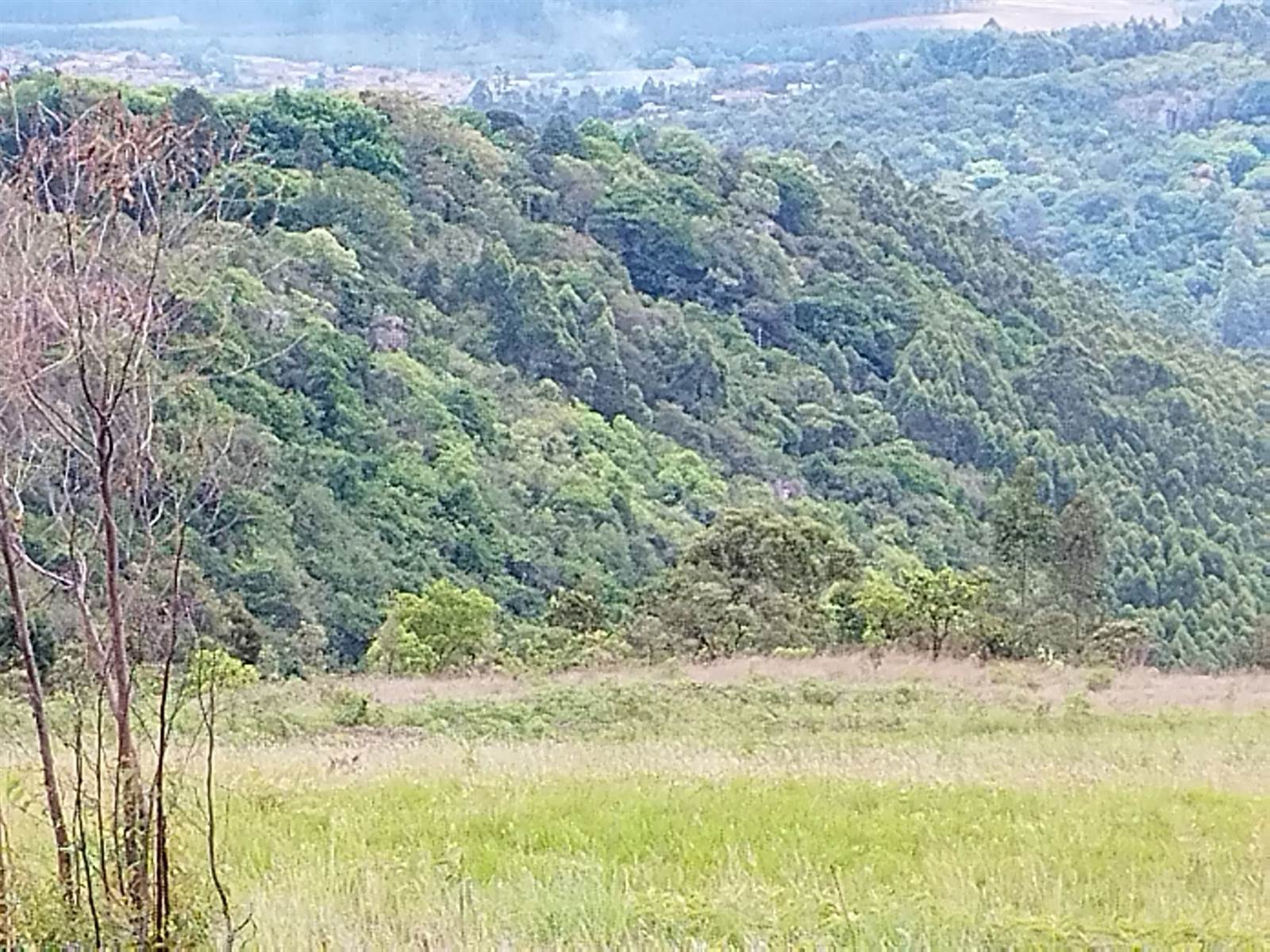 14.3 ha Land available in Sabie photo number 1