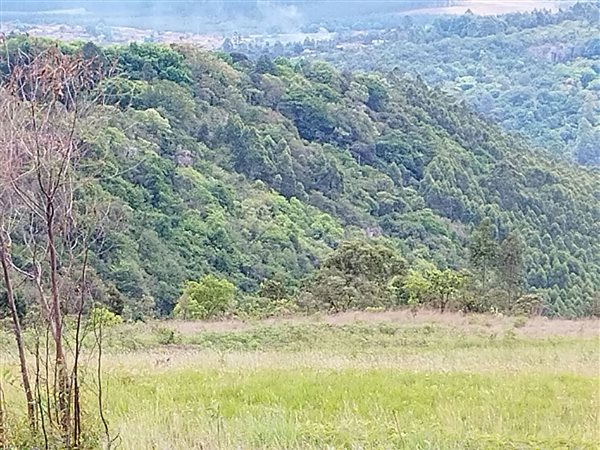 14.3 ha Land available in Sabie