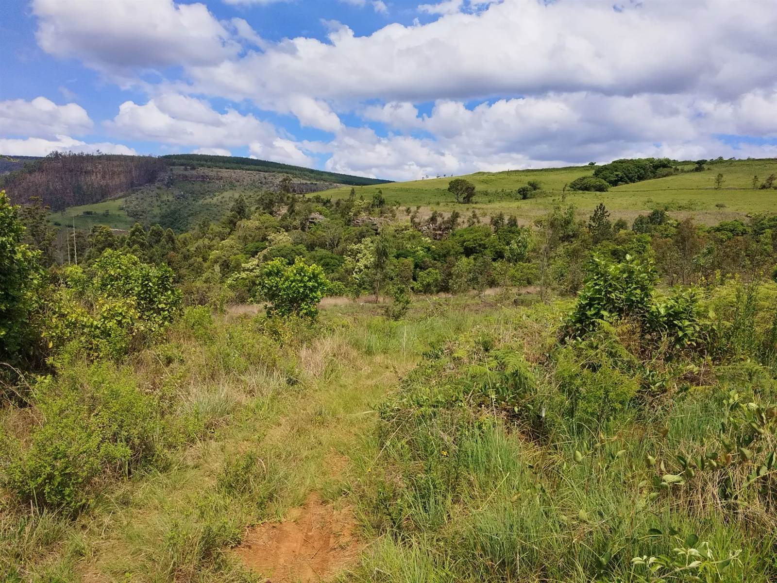 14.3 ha Land available in Sabie photo number 5