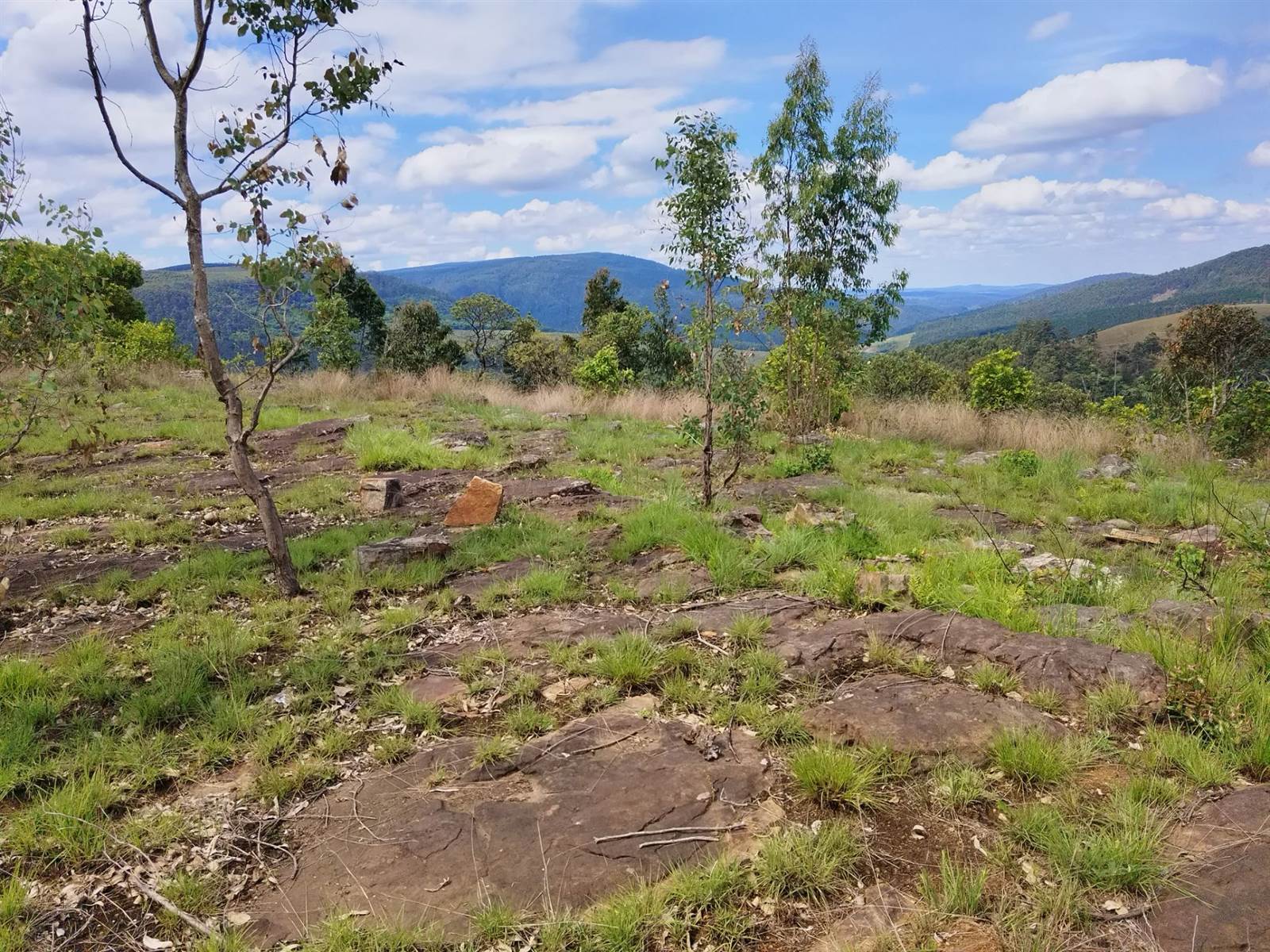 14.3 ha Land available in Sabie photo number 4