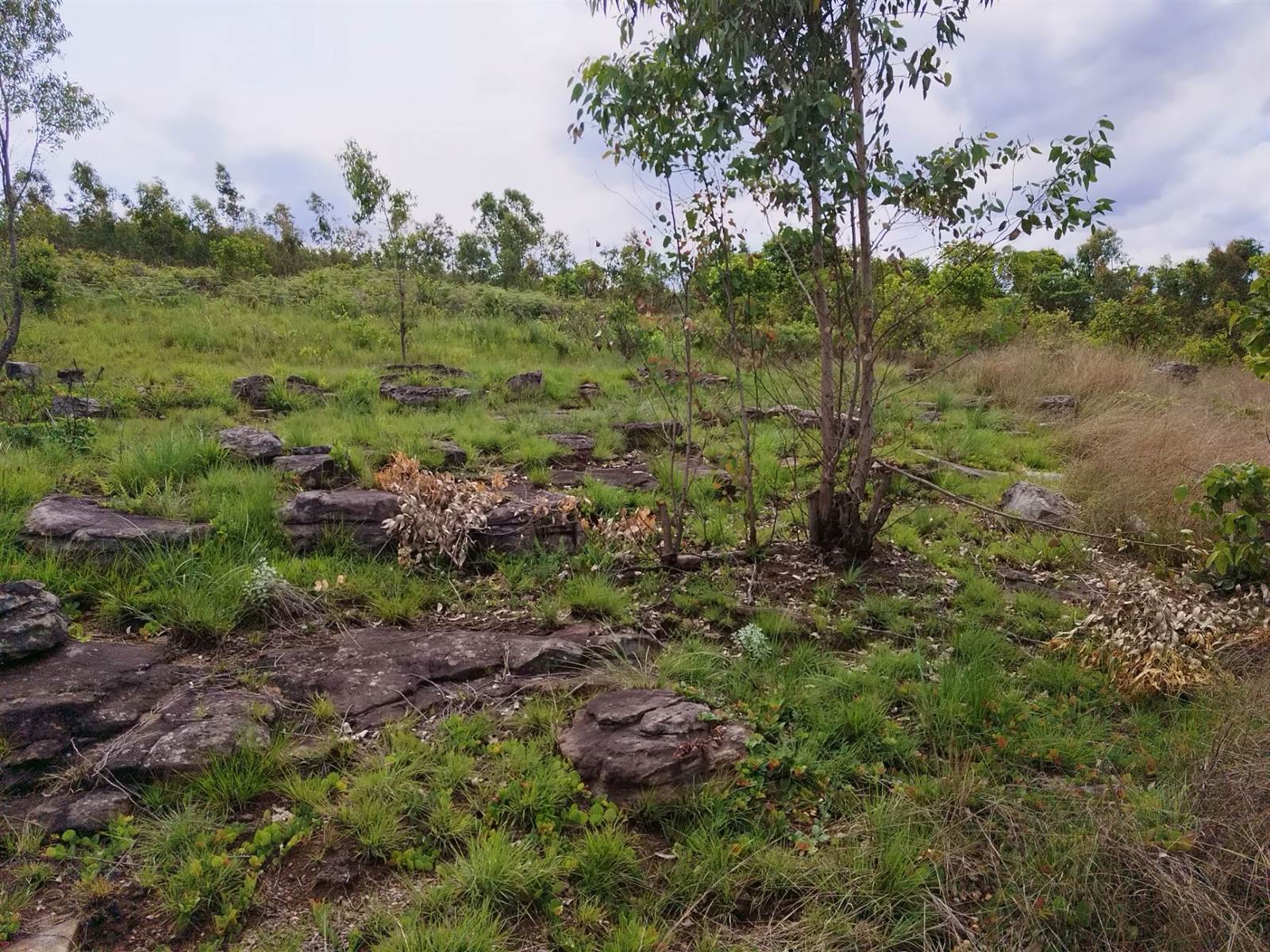 14.3 ha Land available in Sabie photo number 2