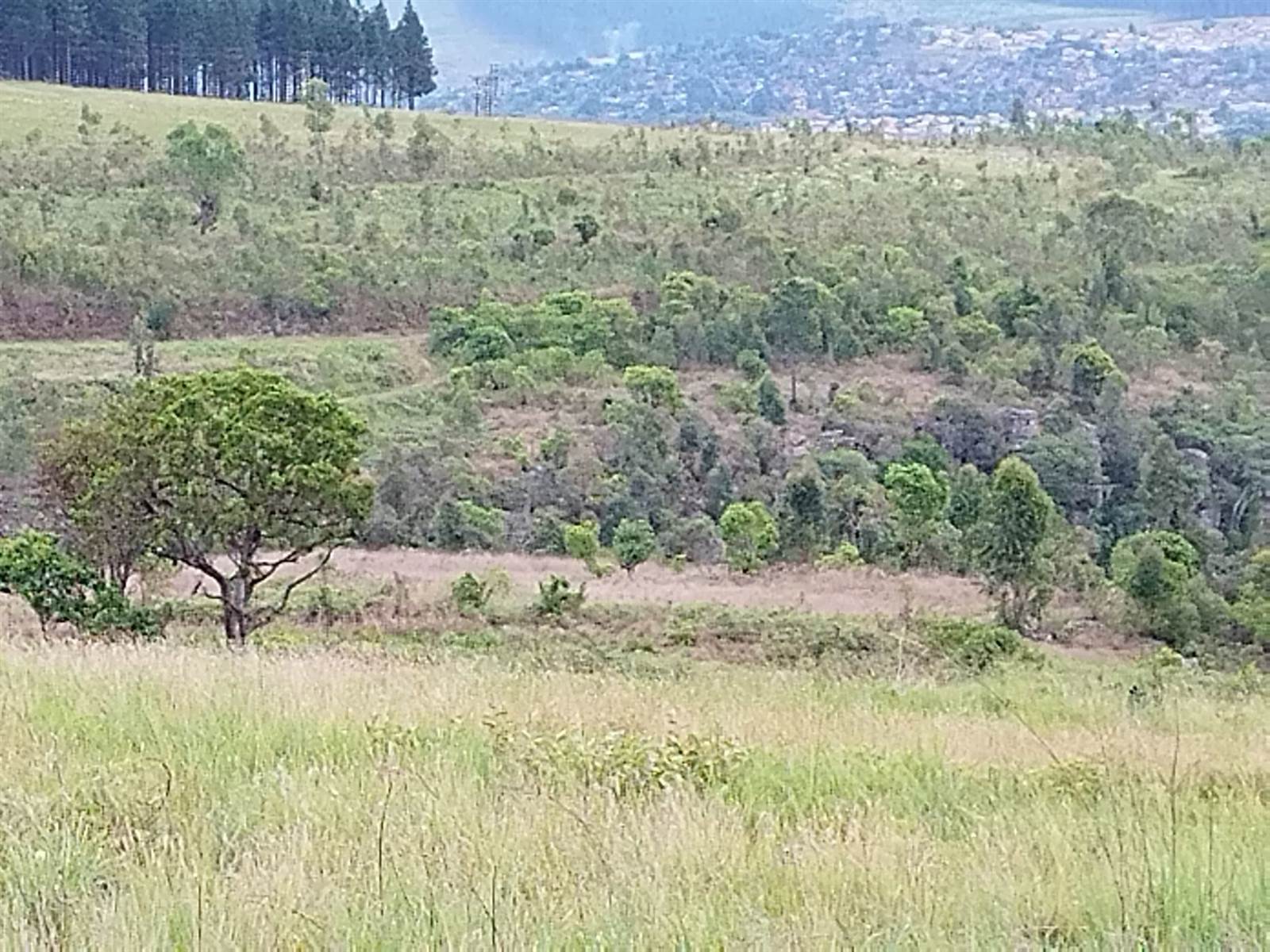 14.3 ha Land available in Sabie photo number 3