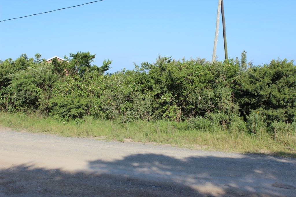 1288 m² Land available in Kei Mouth photo number 6