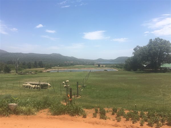 13 ha Land available in Buffelspoort