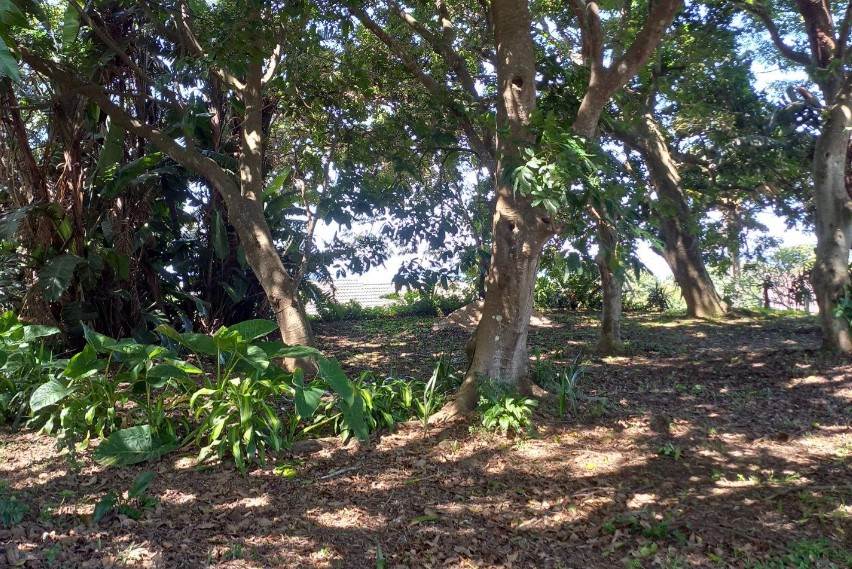 1921 m² Land available in Umtentweni photo number 2