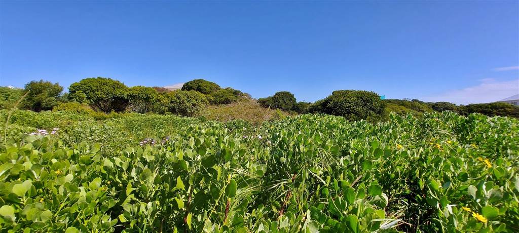 748 m² Land available in Suiderstrand photo number 9