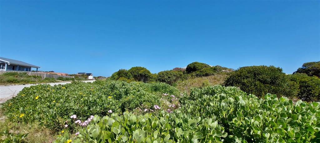 748 m² Land available in Suiderstrand photo number 3