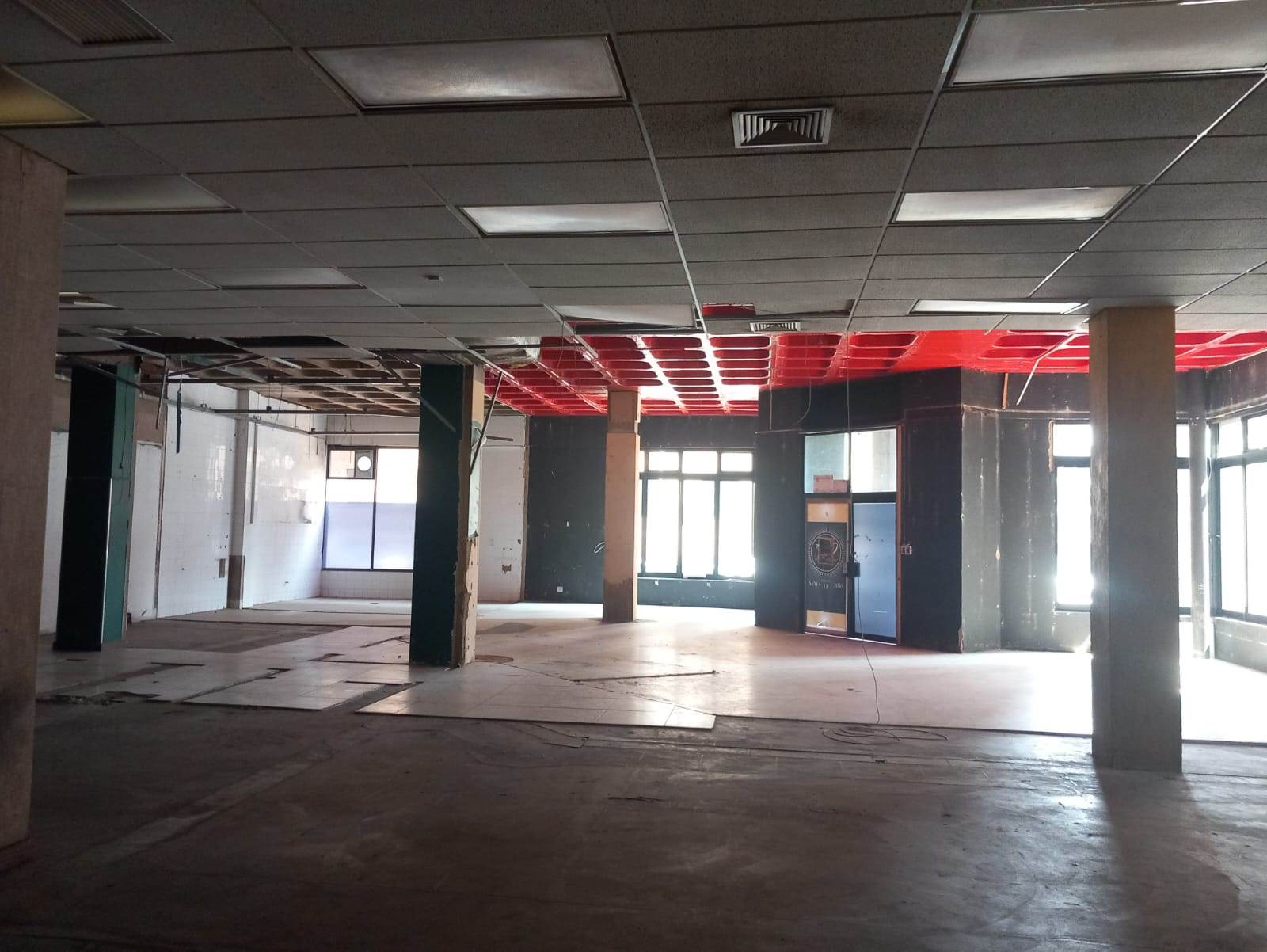 3981  m² Commercial space in Marshalltown photo number 15