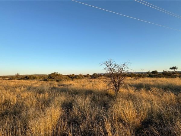 2 593 m² Land