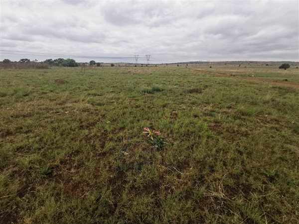 57161 ha Land available in Mooiplaats AH