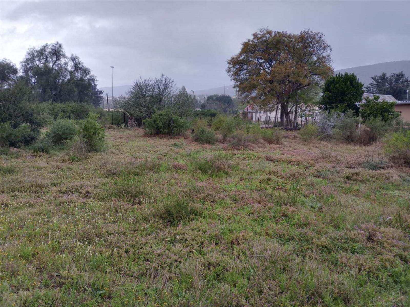 496 m² Land available in Alicedale photo number 6