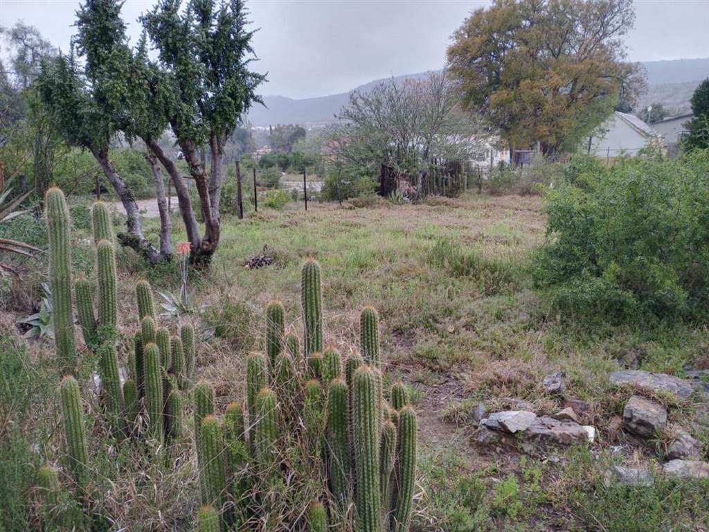 496 m² Land available in Alicedale photo number 8