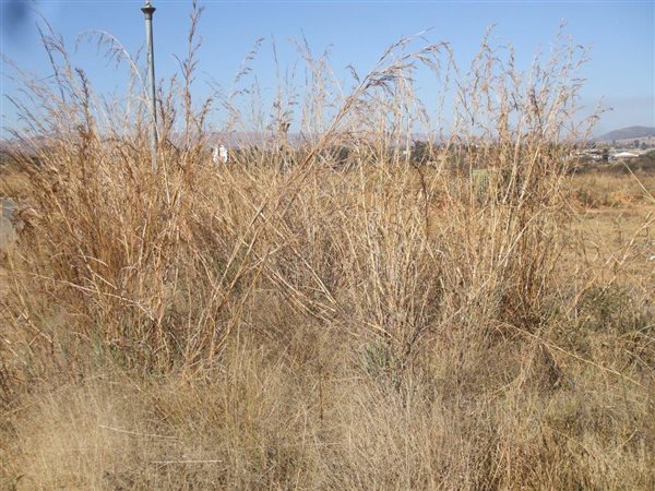 2105 m² Land available in Lydenburg