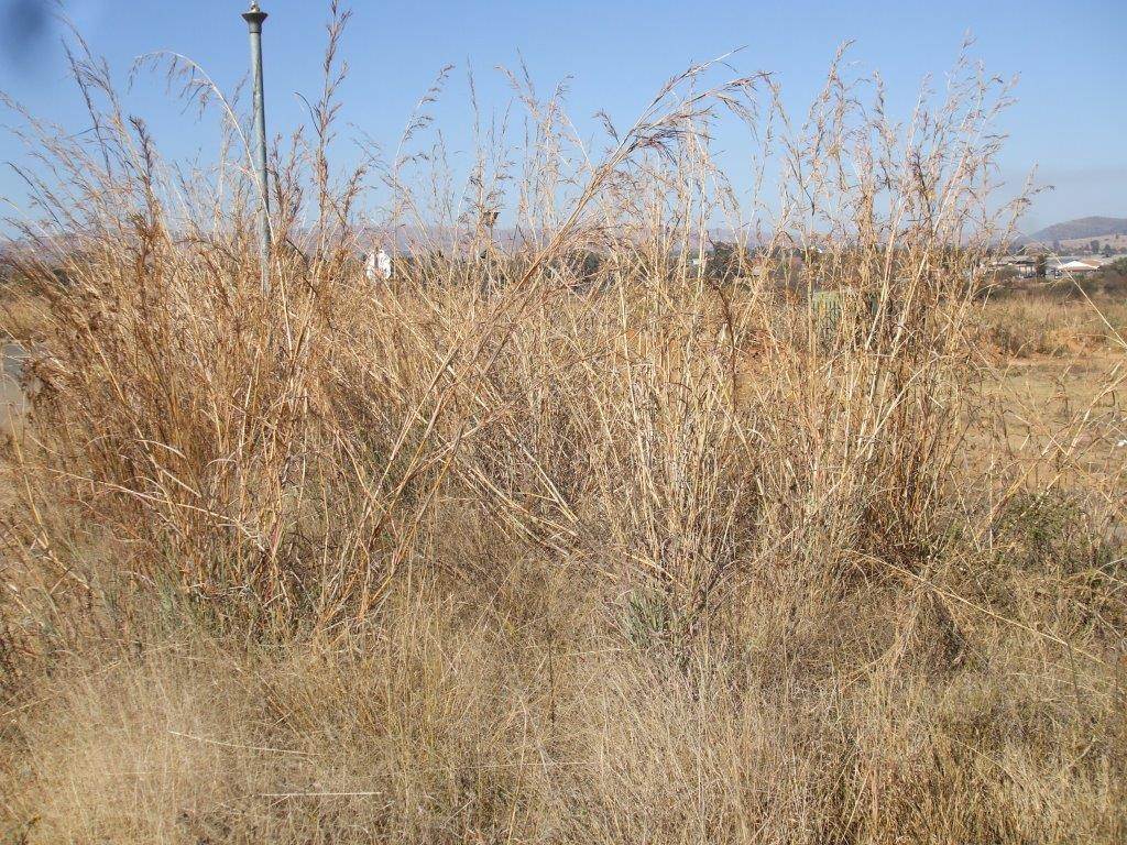 2105 m² Land available in Lydenburg photo number 1