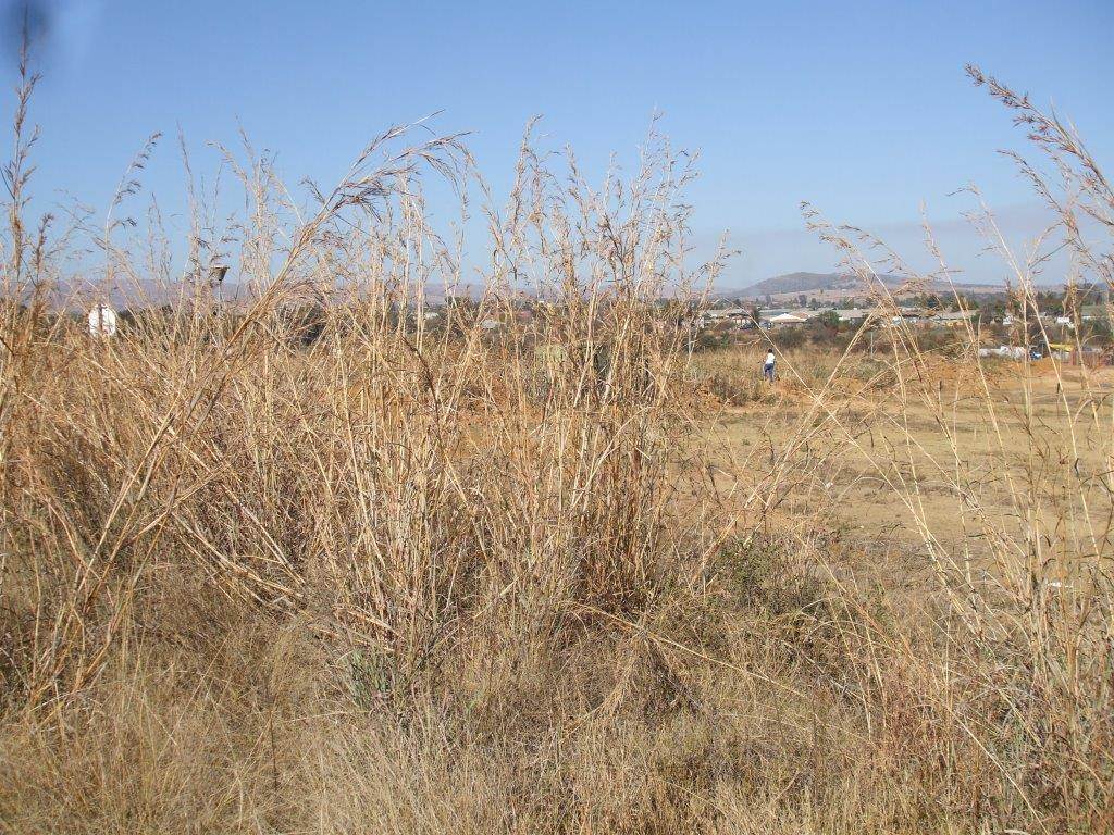 2105 m² Land available in Lydenburg photo number 2