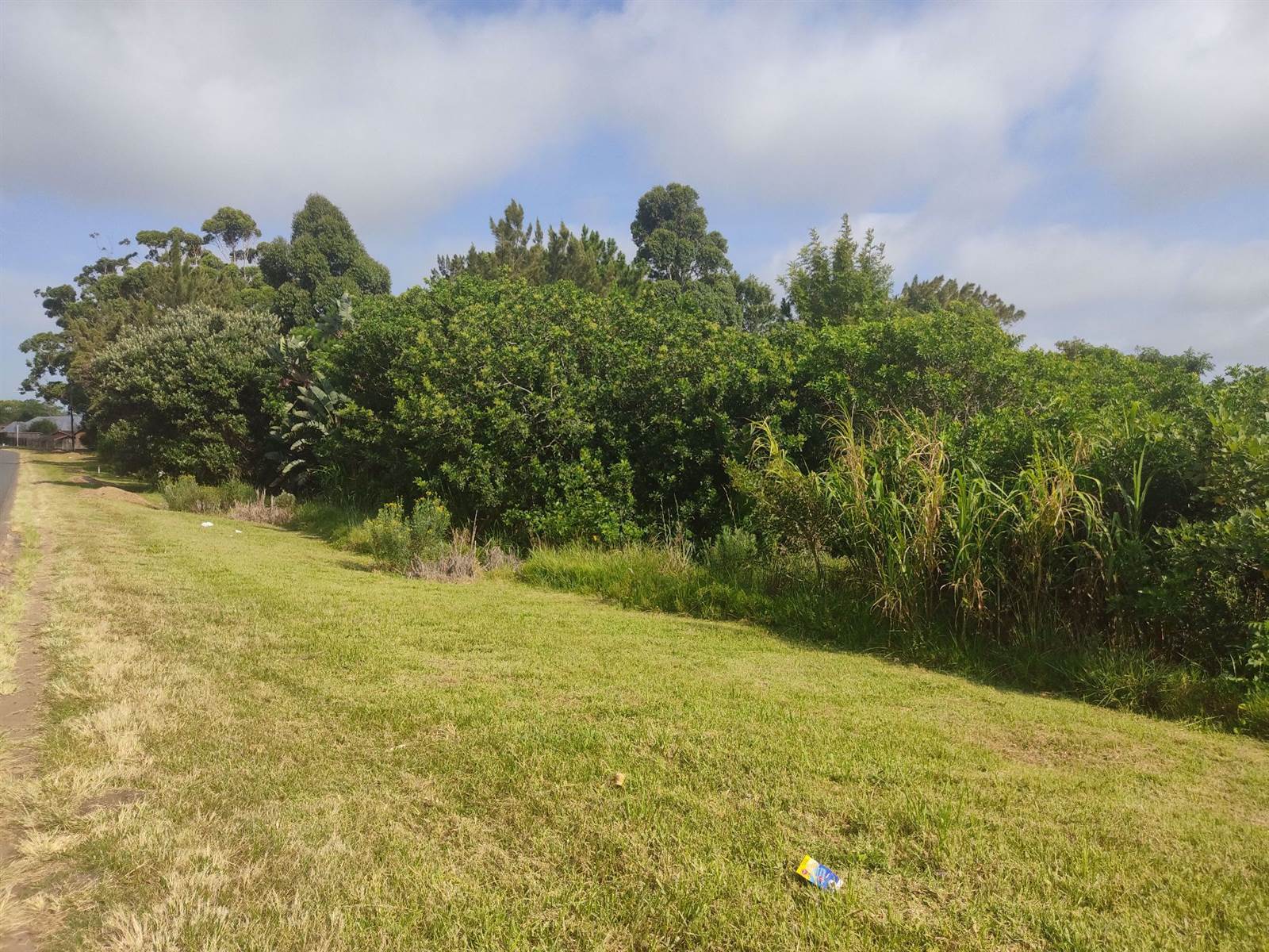 1341 m² Land available in Margate photo number 5