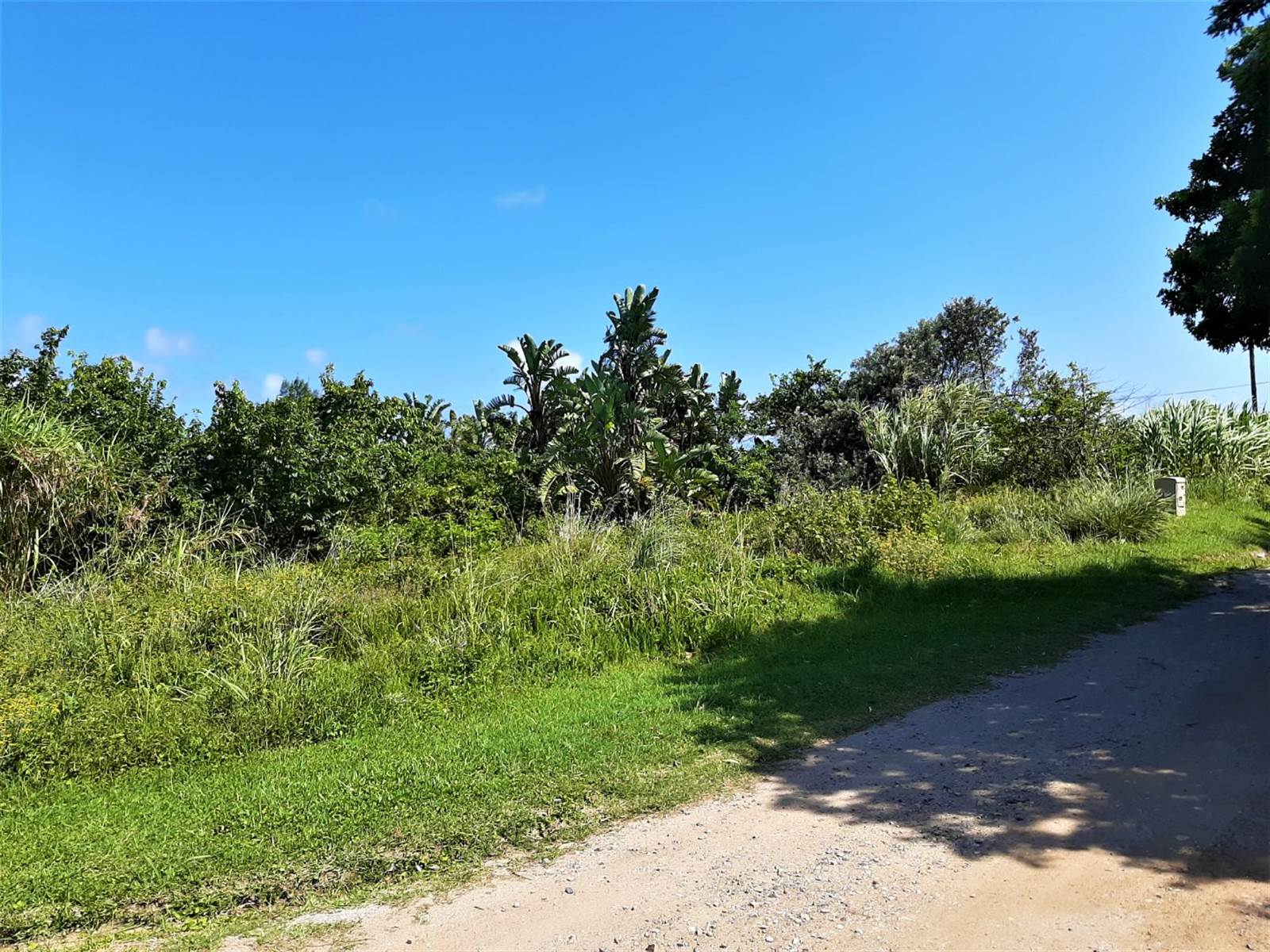 1975 m² Land available in Port Edward photo number 2