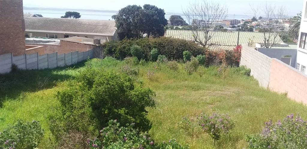 487 m² Land available in Saldanha photo number 3