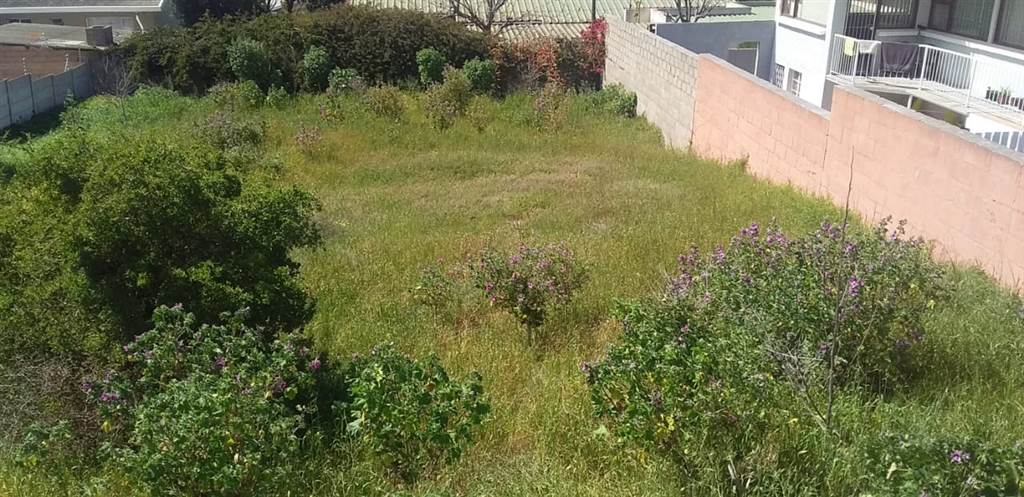 487 m² Land available in Saldanha photo number 4