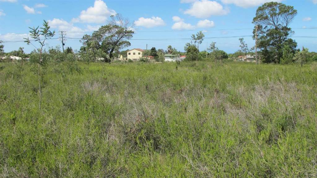 4.2 ha Land available in Humansdorp photo number 3