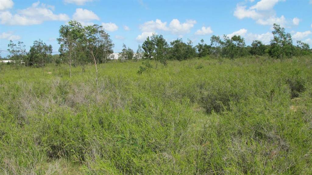 4.2 ha Land available in Humansdorp photo number 6