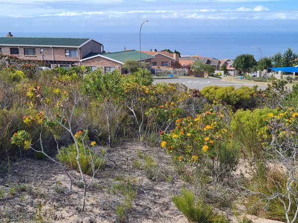 1008 m² Land available in Dana Bay