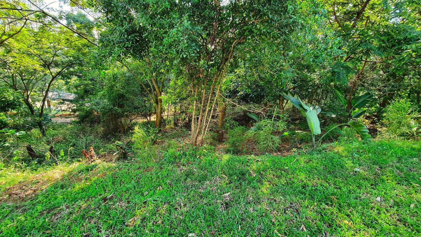 750 m² Land available in Port Zimbali Estate photo number 4