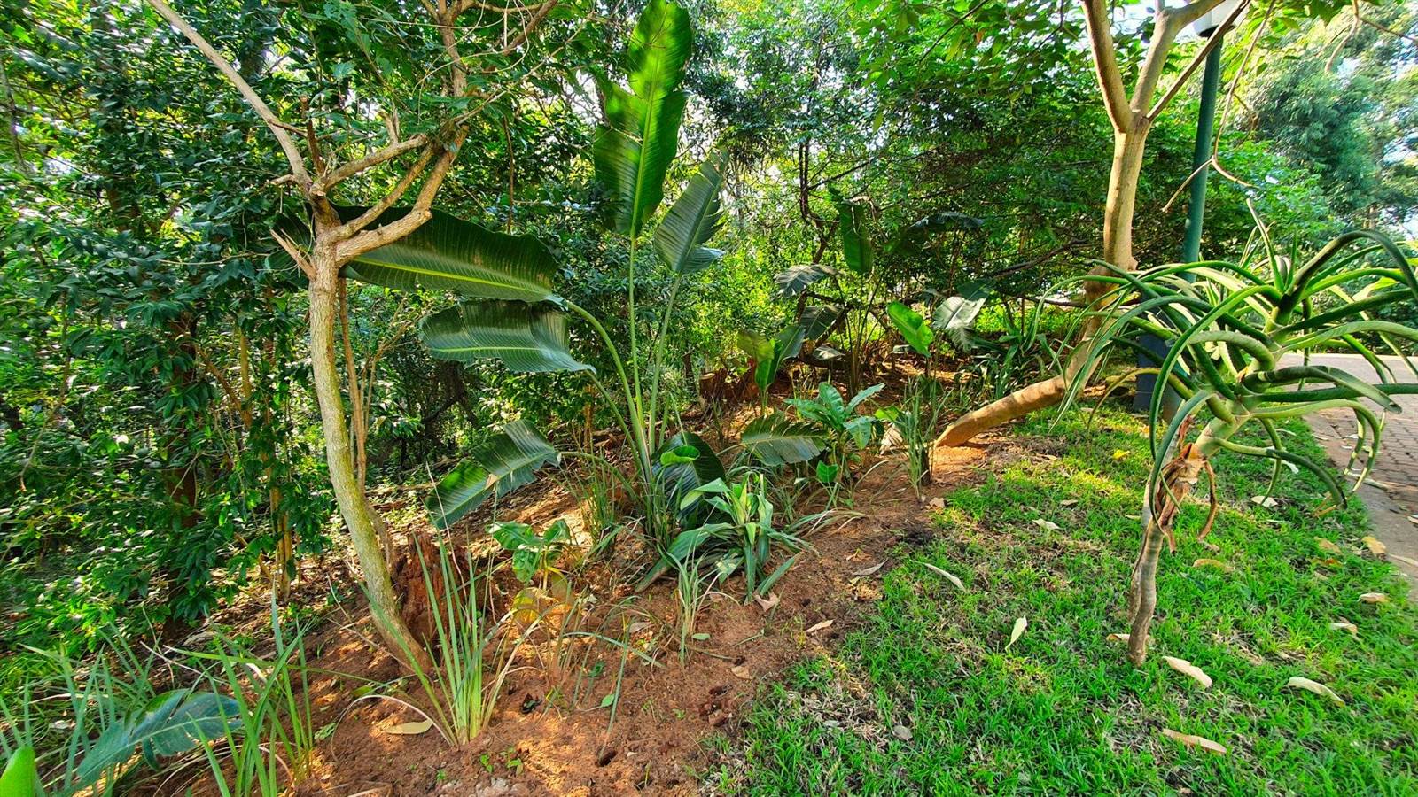 750 m² Land available in Port Zimbali Estate photo number 3