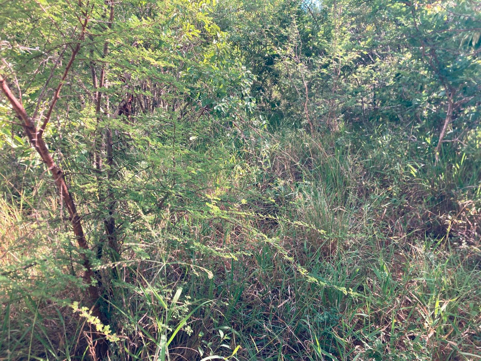 1.2 ha Land available in Moditlo Nature Reserve photo number 6