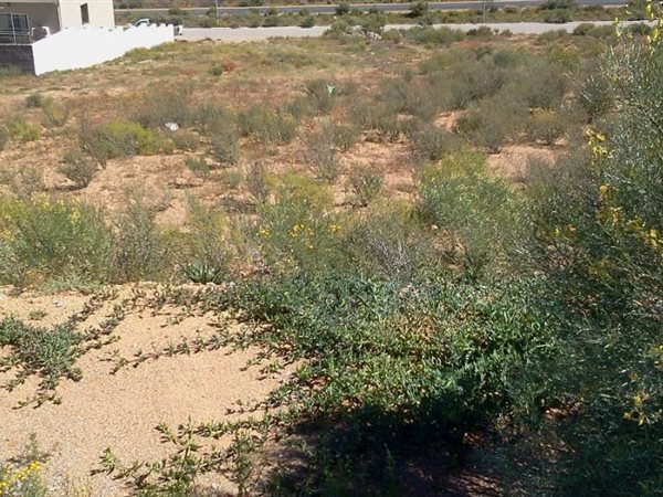 690 m² Land available in Springbok