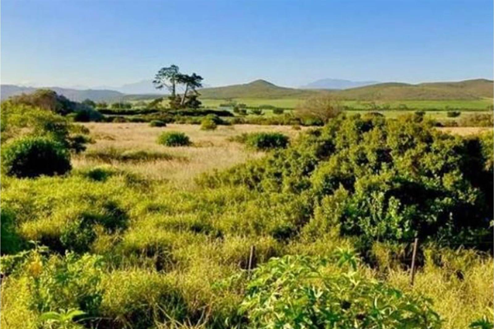 480 m² Land available in Klein Brak River photo number 9