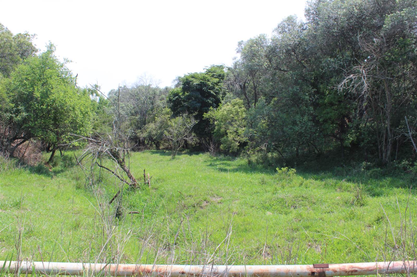 1 ha Land available in Barberton photo number 7
