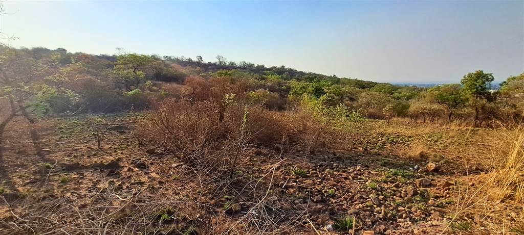 1006 m² Land available in Cashan photo number 4