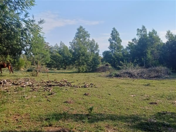 4 314 m² Land