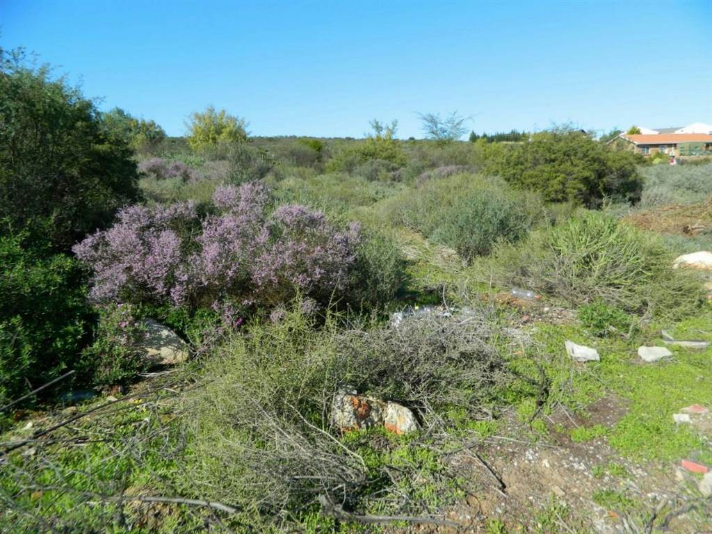 1215 m² Land available in Clanwilliam photo number 5