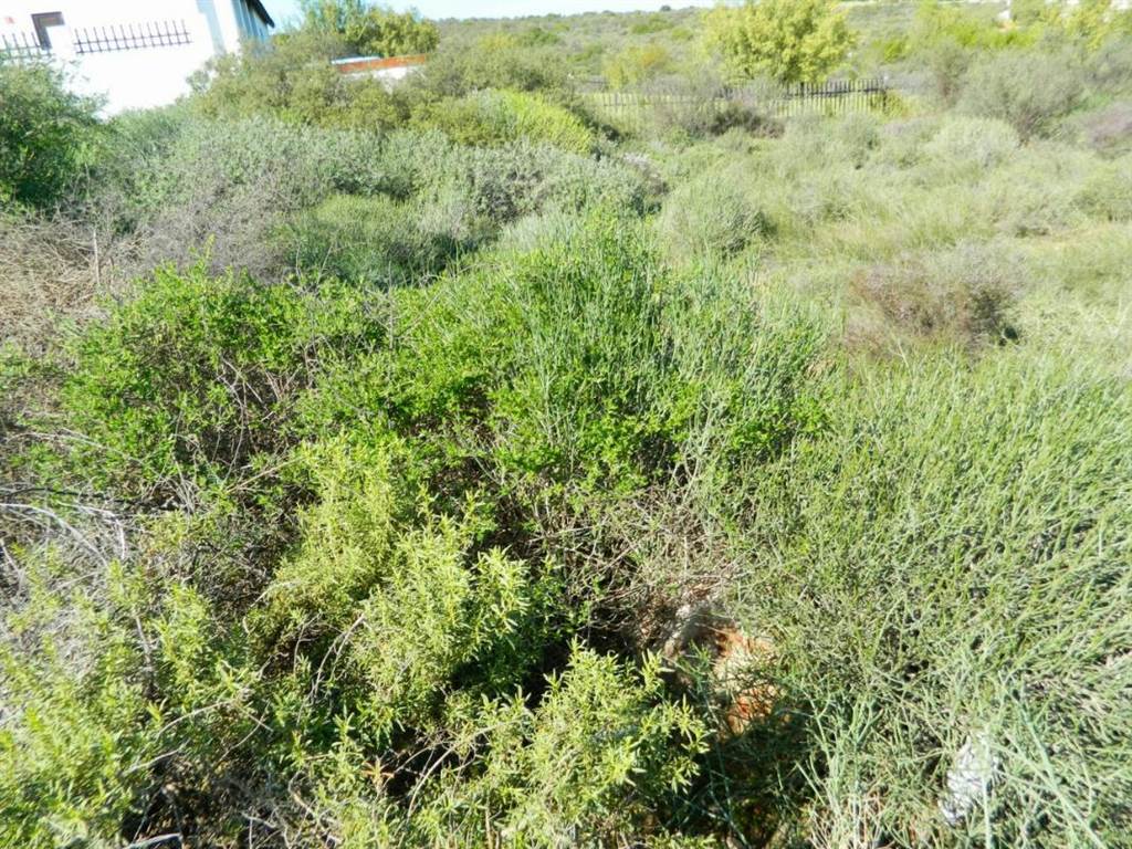 1215 m² Land available in Clanwilliam photo number 4