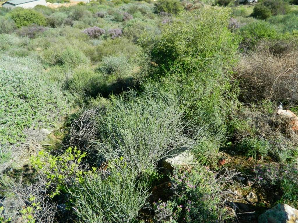 1215 m² Land available in Clanwilliam photo number 3
