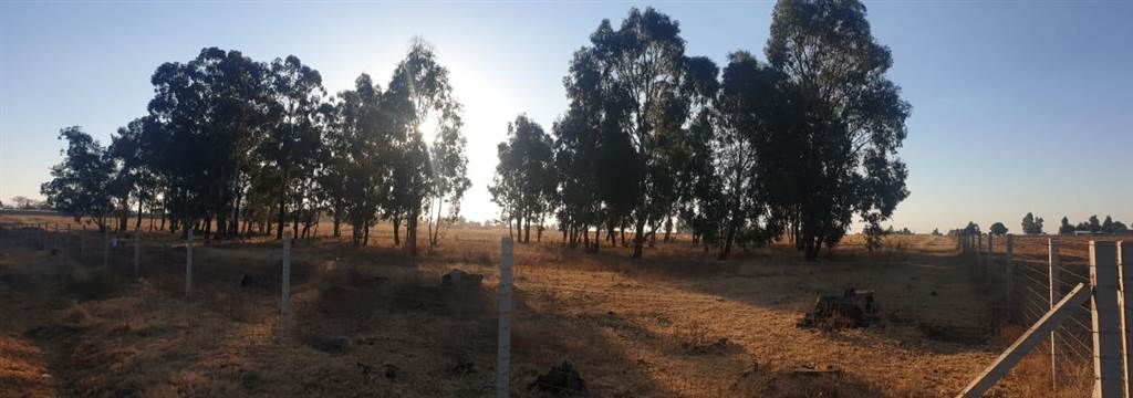 13 ha Land available in Delmas photo number 9
