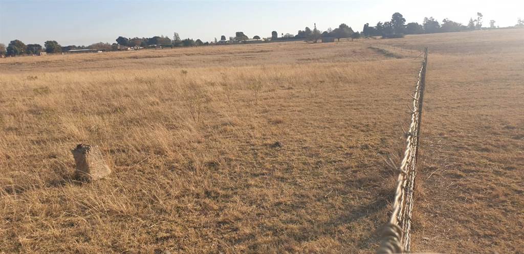 13 ha Land available in Delmas photo number 13