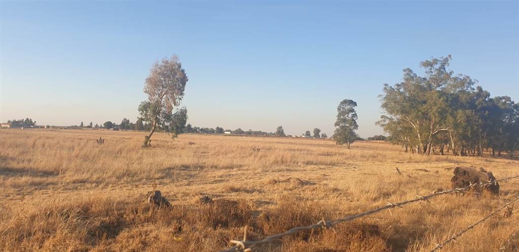 13 ha Land available in Delmas photo number 2