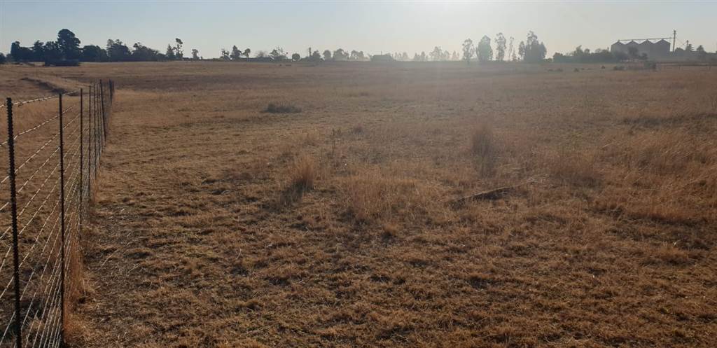 13 ha Land available in Delmas photo number 15