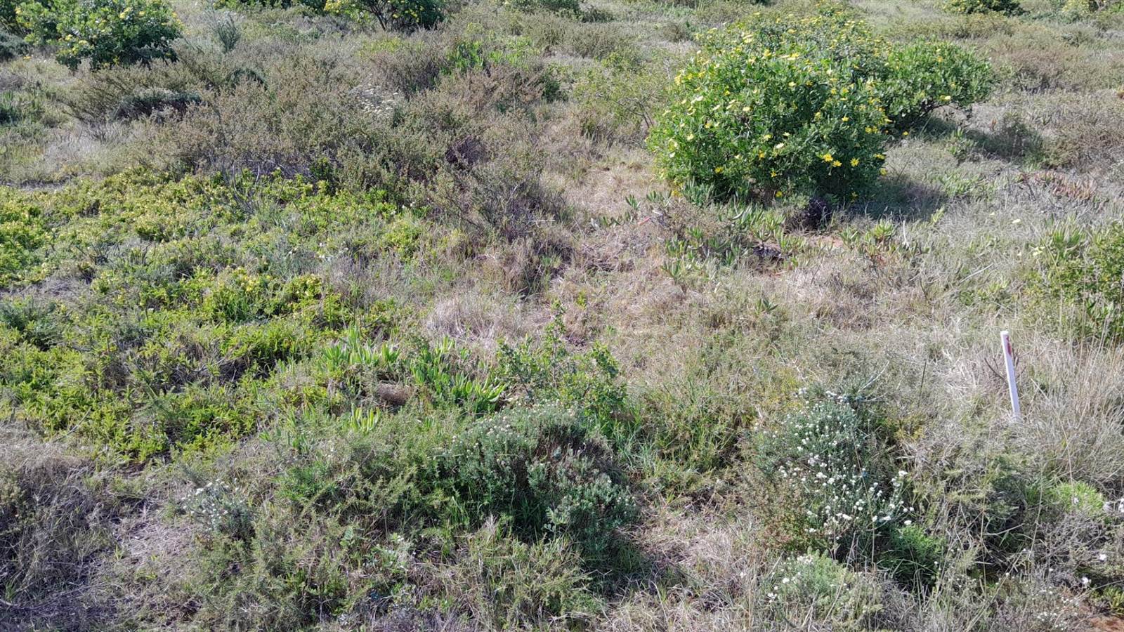 610 m² Land available in Boggomsbaai photo number 8
