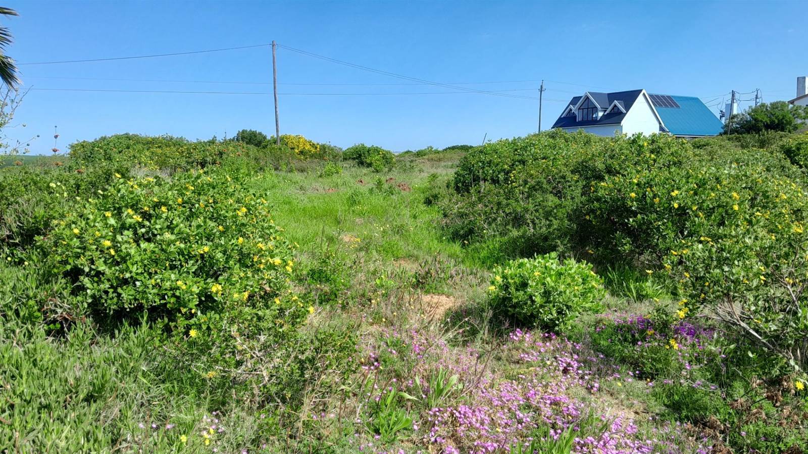 610 m² Land available in Boggomsbaai photo number 5