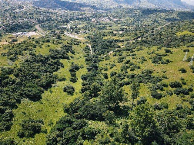 12 ha Land available in Cliffdale photo number 10