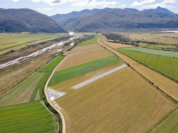 127 ha Farm 127 ha Farm