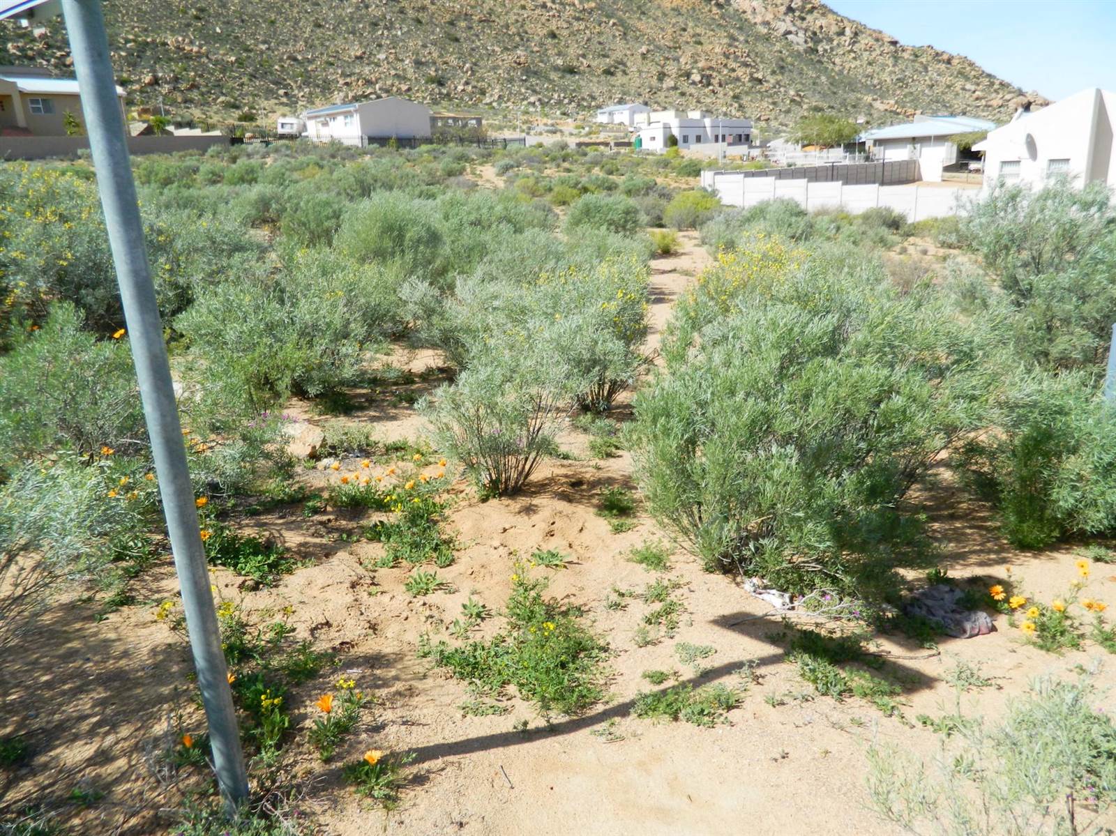 950 m² Land available in Springbok photo number 1